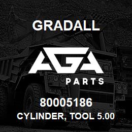 80005186 Gradall CYLINDER, TOOL 5.00 X 22.50 | AGA Parts