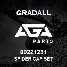 80221231 Gradall SPIDER CAP SET | AGA Parts