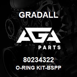 80234322 Gradall O-RING KIT-BSPP | AGA Parts