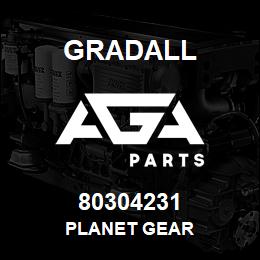 80304231 Gradall PLANET GEAR | AGA Parts