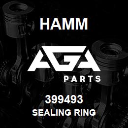 399493 Hamm SEALING RING | AGA Parts