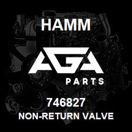 746827 Hamm NON-RETURN VALVE | AGA Parts