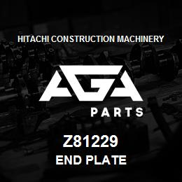 Z81229 Hitachi Construction Machinery END PLATE | AGA Parts