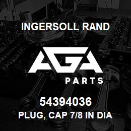 54394036 Ingersoll Rand PLUG, CAP 7/8 IN DIA. BLACK PLASTIC | AGA Parts