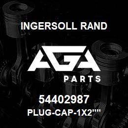 54402987 Ingersoll Rand PLUG-CAP-1X2"" | AGA Parts