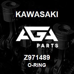 Z971489 Kawasaki O-RING | AGA Parts