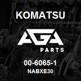 00-6065-1 Komatsu NABXE30 | AGA Parts