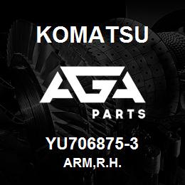 YU706875-3 Komatsu ARM,R.H. | AGA Parts