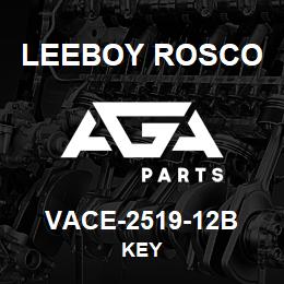 VACE-2519-12B Leeboy Rosco KEY | AGA Parts