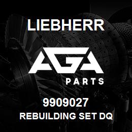 9909027 Liebherr REBUILDING SET DQ | AGA Parts