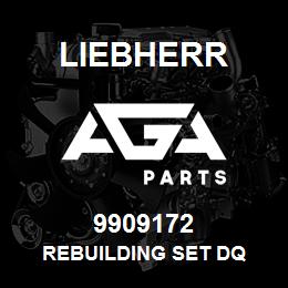 9909172 Liebherr REBUILDING SET DQ | AGA Parts