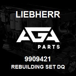 9909421 Liebherr REBUILDING SET DQ | AGA Parts