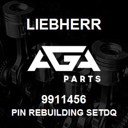 9911456 Liebherr PIN REBUILDING SETDQ | AGA Parts