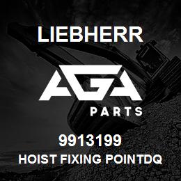 9913199 Liebherr HOIST FIXING POINTDQ | AGA Parts