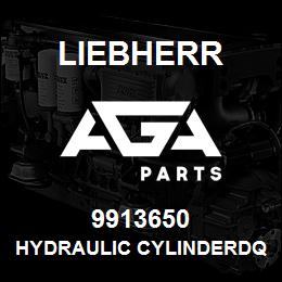 9913650 Liebherr HYDRAULIC CYLINDERDQ | AGA Parts