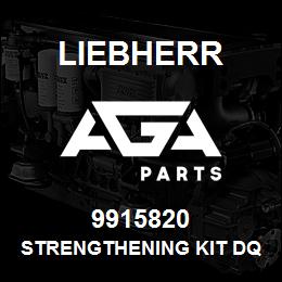 9915820 Liebherr STRENGTHENING KIT DQ | AGA Parts