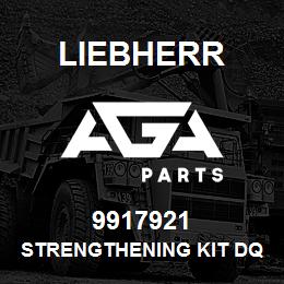 9917921 Liebherr STRENGTHENING KIT DQ | AGA Parts