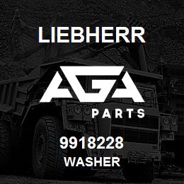 9918228 Liebherr WASHER | AGA Parts