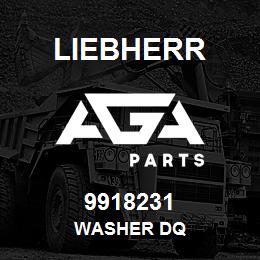 9918231 Liebherr WASHER DQ | AGA Parts