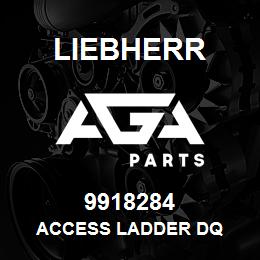 9918284 Liebherr ACCESS LADDER DQ | AGA Parts