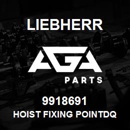 9918691 Liebherr HOIST FIXING POINTDQ | AGA Parts