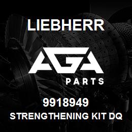 9918949 Liebherr STRENGTHENING KIT DQ | AGA Parts