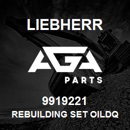 9919221 Liebherr REBUILDING SET OILDQ | AGA Parts