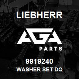 9919240 Liebherr WASHER SET DQ | AGA Parts