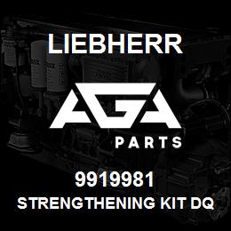 9919981 Liebherr STRENGTHENING KIT DQ | AGA Parts