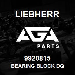 9920815 Liebherr BEARING BLOCK DQ | AGA Parts