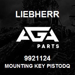 9921124 Liebherr MOUNTING KEY PISTODQ | AGA Parts