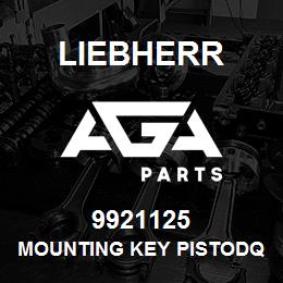 9921125 Liebherr MOUNTING KEY PISTODQ | AGA Parts