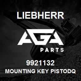 9921132 Liebherr MOUNTING KEY PISTODQ | AGA Parts