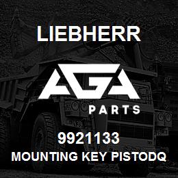 9921133 Liebherr MOUNTING KEY PISTODQ | AGA Parts