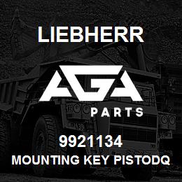 9921134 Liebherr MOUNTING KEY PISTODQ | AGA Parts