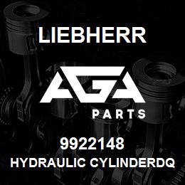 9922148 Liebherr HYDRAULIC CYLINDERDQ | AGA Parts