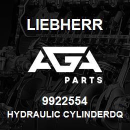 9922554 Liebherr HYDRAULIC CYLINDERDQ | AGA Parts