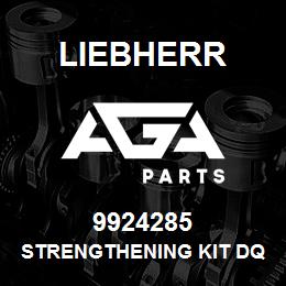 9924285 Liebherr STRENGTHENING KIT DQ | AGA Parts