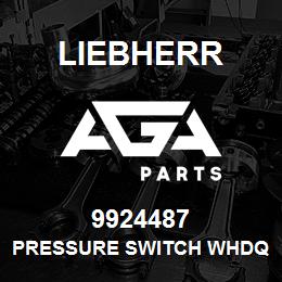 9924487 Liebherr PRESSURE SWITCH WHDQ | AGA Parts