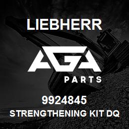 9924845 Liebherr STRENGTHENING KIT DQ | AGA Parts