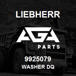 9925079 Liebherr WASHER DQ | AGA Parts