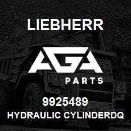 9925489 Liebherr HYDRAULIC CYLINDERDQ | AGA Parts