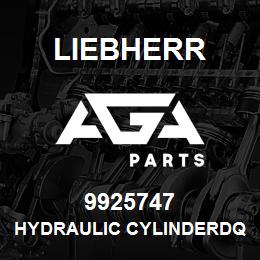 9925747 Liebherr HYDRAULIC CYLINDERDQ | AGA Parts