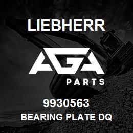 9930563 Liebherr BEARING PLATE DQ | AGA Parts