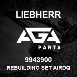 9943900 Liebherr REBUILDING SET AIRDQ | AGA Parts