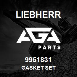 9951831 Liebherr GASKET SET | AGA Parts