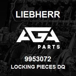 9953072 Liebherr LOCKING PIECES DQ | AGA Parts