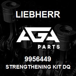 9956449 Liebherr STRENGTHENING KIT DQ | AGA Parts