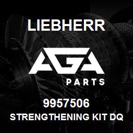 9957506 Liebherr STRENGTHENING KIT DQ | AGA Parts