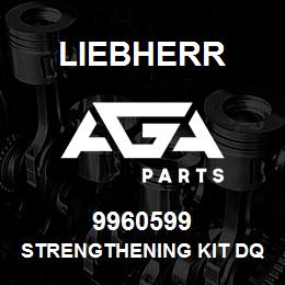 9960599 Liebherr STRENGTHENING KIT DQ | AGA Parts